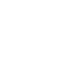 Animals Oil Paintings Collection.