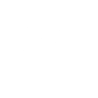 Butterflies Oil Paintings Collection.